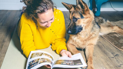 German Shepherd with owner looking on the book