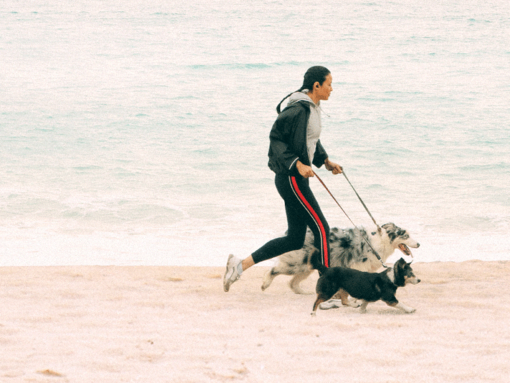 Woman running on a beach with two dogs 