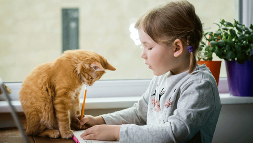 Little girl writing with a kitten sitting opposite her