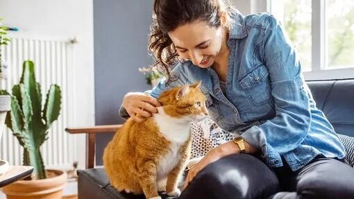 Woman and cat sitting on sofa