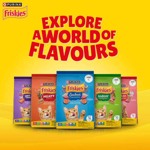Friskies Dry Cat Food