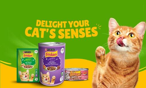 Friskies Wet Cat food