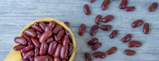 Spoon full of kidney beans HERO 