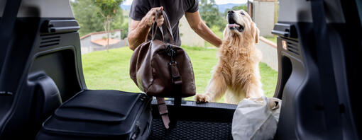 Man and dog getting ready for car trip - Hero
