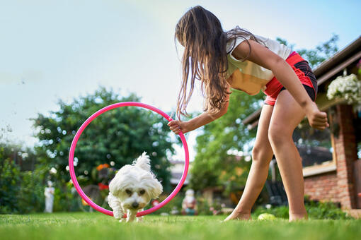 Woman petting dog