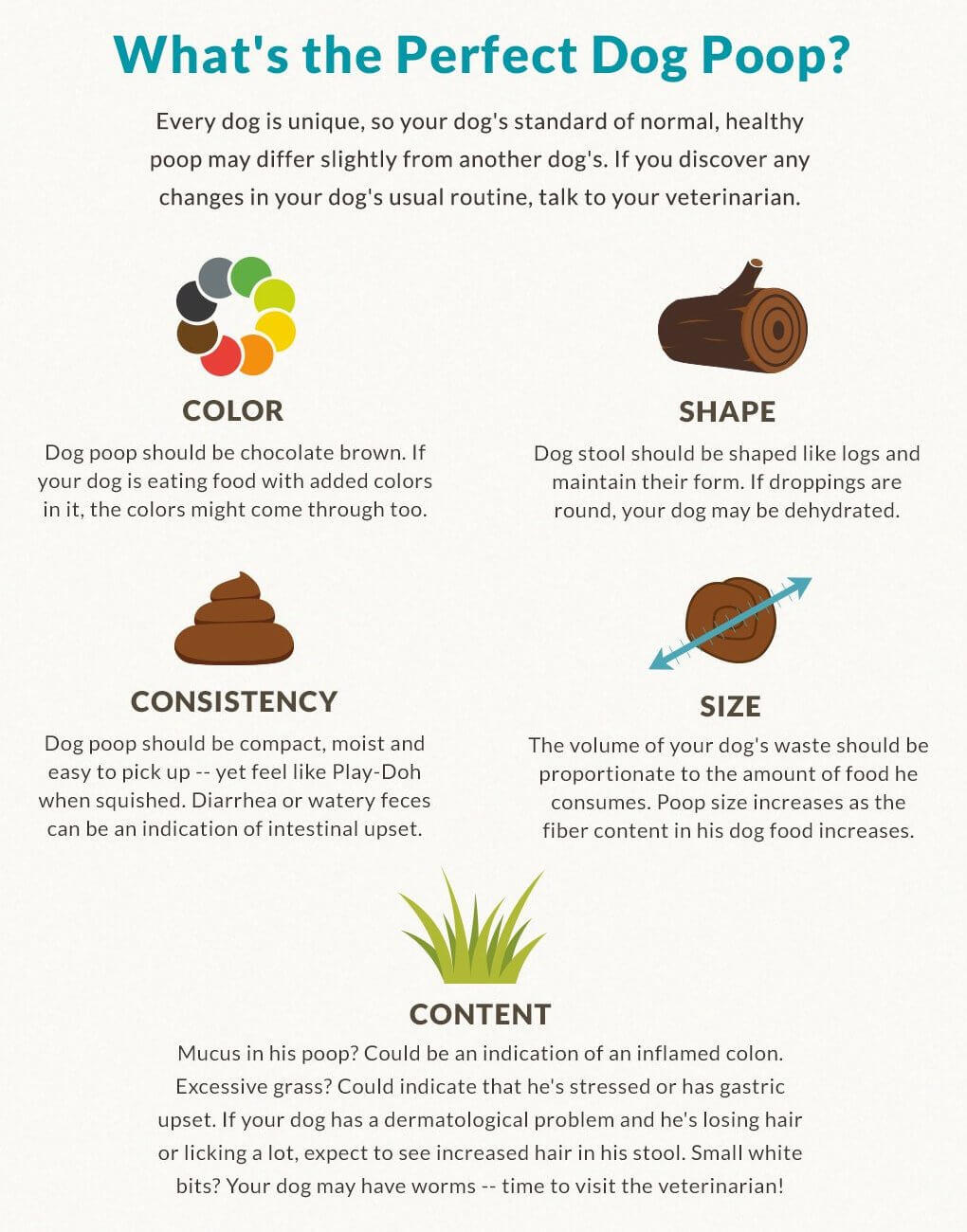 All about dog poop 1 Perfect dog poop infographic