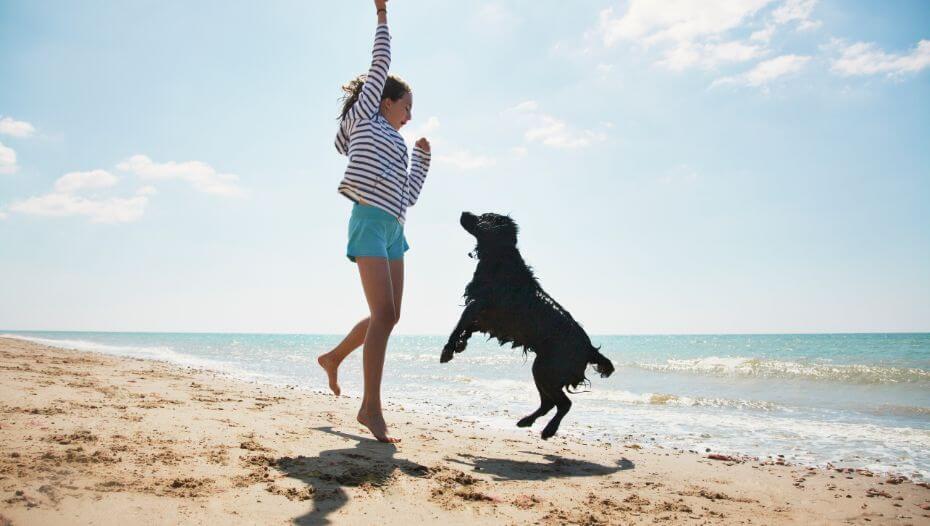 girl and dog jumping on a beach girl and dog jumping on a beach