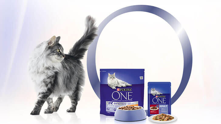 purina bifensis purina bifensis
