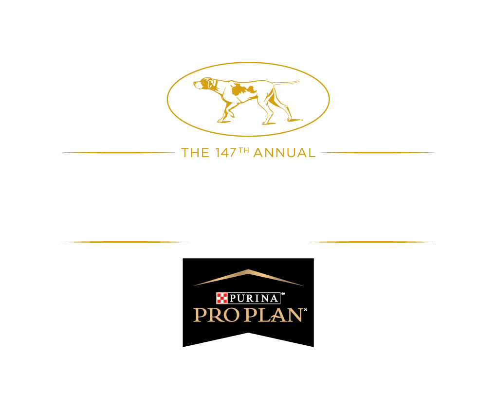 Pro plan deals club