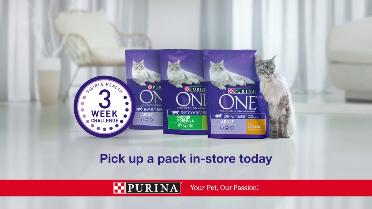Try the Purina One 3 Week Challenge
